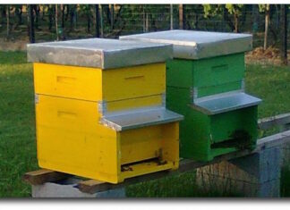 L’apicoltore di Urbino è morto per cause naturali
