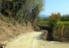 Manutenzione idraulica, difesa del suolo e sistemazione forestale: fondi per interventi a Cagli, Urbania e Serra Sant’Abbondio