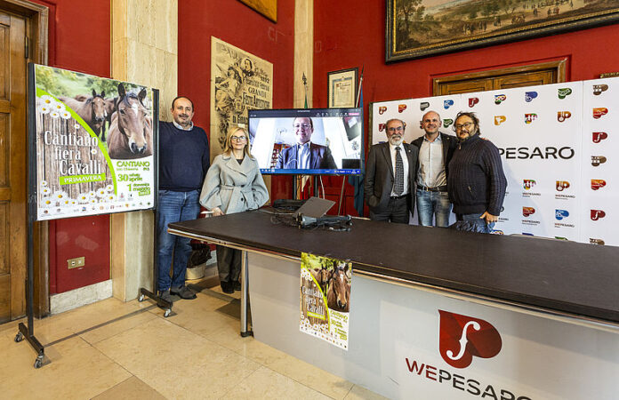 csm_Fiera_Cavalli_15_3364ee09c2