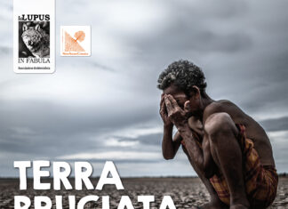 Terra Bruciata, presentazione del libro rinviata causa Covid
