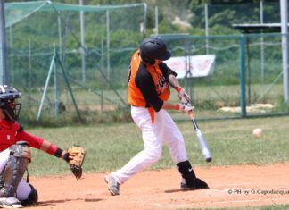 Fano Baseball 94, colpo grosso con la blasonata Fiorentina
