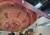 La “Regione dei Teatri” al Salone del Libro di Torino
