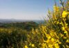 WeNature, pronti per immergersi nella Natura meravigliosa del Parco Naturale Monte San Bartolo
