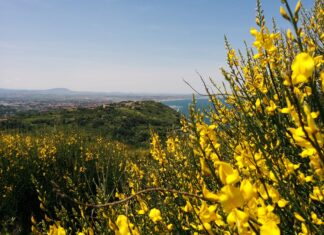 WeNature, pronti per immergersi nella Natura meravigliosa del Parco Naturale Monte San Bartolo