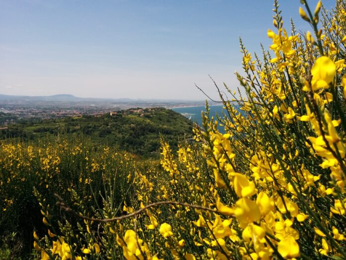 Parco Naturale Monte San Bartolo Pesaro