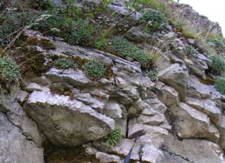 Cagli, nuove scoperte geologiche dal sito di Poggio Le Guaine a Secchiano: Coccioni e Frontalini su “Nature Communications”