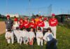 Fano Baseball 94, fiducia nel progetto della linea verde locale