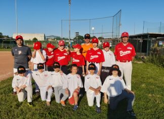 Fano Baseball 94, fiducia nel progetto della linea verde locale