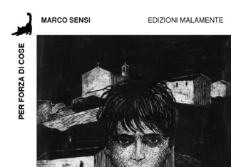 Il libro dell’autore pergolese Marco Sensi “Per forza di cose”
