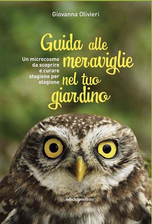 copertina_guida alle meraviglie