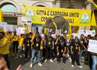 Coldiretti Marche, giovani agricoltori locali a Roma per protestare: “Chiuso per cinghiali”
