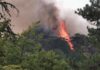 Contrasto agli incendi boschivi, nelle Marche pronto un programma da 550mila euro