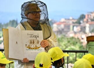 Giornata mondiale delle api, Coldiretti Marche: “Settore in crescita nella nostra regione”