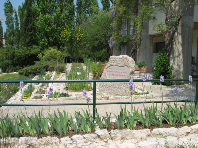Centro ricerche floristiche Marche Brilli Cattarini