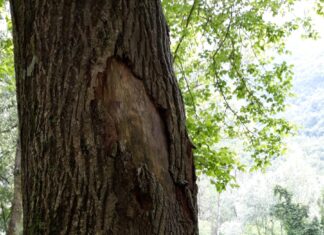 Come aiutare disabili visivi ad immergersi nella natura? Al Furlo corso per guide ed educatori ambientali
