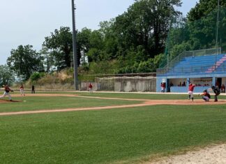 Fano Baseball 94 risale la china