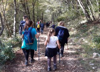 Al via la programmazione estiva della Riserva naturale statale Gola del Furlo