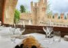 Cenarte al Castello di Gradara