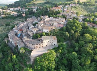 “Conterranea”: Cartoceto, ultima tappa del viaggio nelle terre dell’unica DOP olearia delle Marche