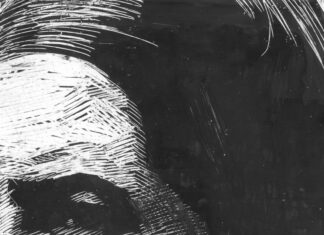 Nie Wiem: la video poesia “In quanto a noi” di Simone Massi con voce recitante di Wim Wenders selezionata al Festival di Venezia