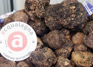 Fiera regionale, ad Acqualagna torna l’intenso profumo di tartufo