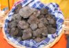 Acqualagna, un ottimo inizio di stagione del tartufo nero estivo