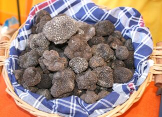 Oggi, 31 luglio, al Parco La Golena il trionfo del tartufo nero estivo