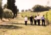 DECANTO: ultimo appuntamento alla Fattoria Villa Ligi di Pergola