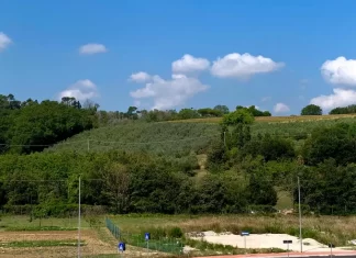 Progetto interquartieri Trave Arzilla Gimarra, il comitato: “La lotta contro questa strada inutile, sbagliata e devastante prosegue”