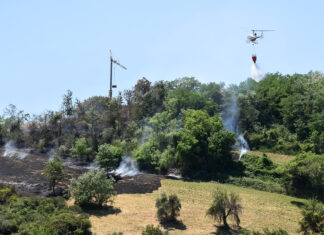Saltara, il fuoco minaccia villette a ridosso del paese. Arriva l’elicottero antincendio