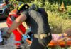 S’infortuna mentre costeggia il fiume Bosso a Pianello di Cagli. La recuperano i vigili del fuoco