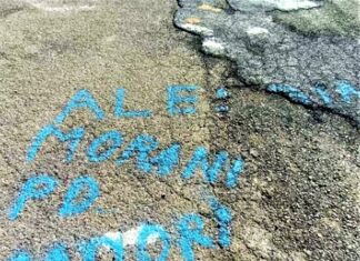 “Alessia Morani Pd muori” la scritta in un piazzale sul monte Nerone: ” Denuncerò l’accaduto”