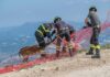 Monte Catria, daino impigliato in una rete. Lo liberano i vigili del fuoco di Cagli dopo la segnalazione di un cittadino