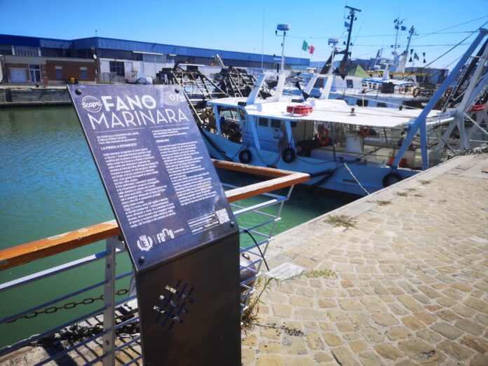 Tour Fano Marinara sul porto di Fano