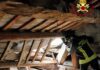 Cagli, crollo improvviso di una capriata del monastero delle suore in via Celli