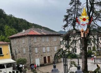 Il vento spezza il pino simbolo di Borgo Pace