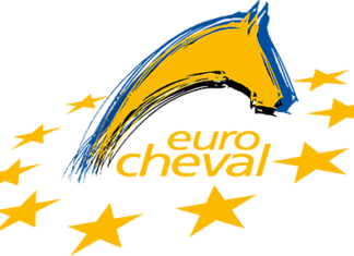 Vetrina internazionale per il cavallo del Catria: protagonista in Germania ad “Eurocheval”