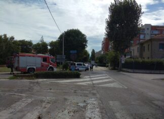 Ondata di maltempo, a Fano crollo di alberi. Disagi al traffico