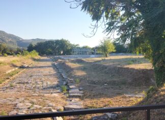 Soci della Bcc del Metauro in visita al parco archeologico Forum Sempronii