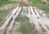 Coldiretti Marche, alluvione: “Campi ancora impraticabili a un mese di distanza, serve semplificazione norme”