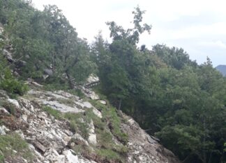 Post alluvione, l’appello dell’allevatore Travagliati: “Strada del Catria versante Chiaserna distrutta. Urgono interventi di ripristino e ristori”