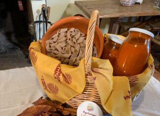 Giornata Mondiale della Pasta, Coldiretti Marche: “Cresce l’export delle nostre produzioni”