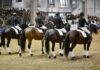 Cavallo del Catria protagonista alla Fiera Cavalli di Verona