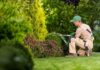 Giardinieri d’arte, la Regione investe sulla formazione di queste figure professionali