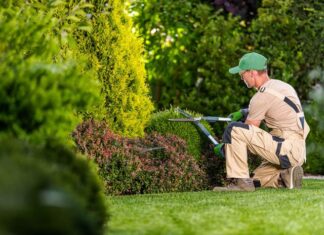 Giardinieri d’arte, la Regione investe sulla formazione di queste figure professionali
