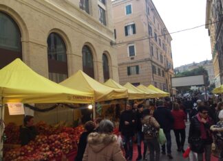 Coldiretti Marche, biologico protagonista del km zero: “Cresce il valore della spesa green”