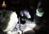 Cagli, vigili del fuoco salvano tre cani da caccia rimasti intrappolati in una grotta