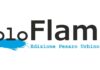 Non Solo Flaminia, i dati relativi ai contributi pubblici percepiti nel 2021