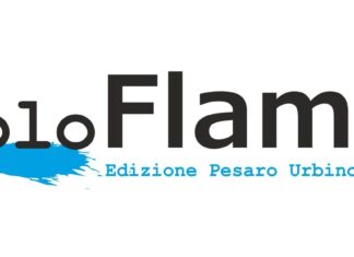 Non Solo Flaminia, i dati relativi ai contributi pubblici percepiti nel 2021