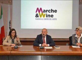 “Enoturismo Marche: dalla vigna alla tavola”